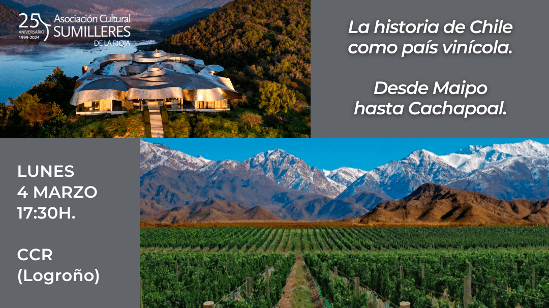 historia-chile-pais-vinicola-vina-santa-ema-vina-vik