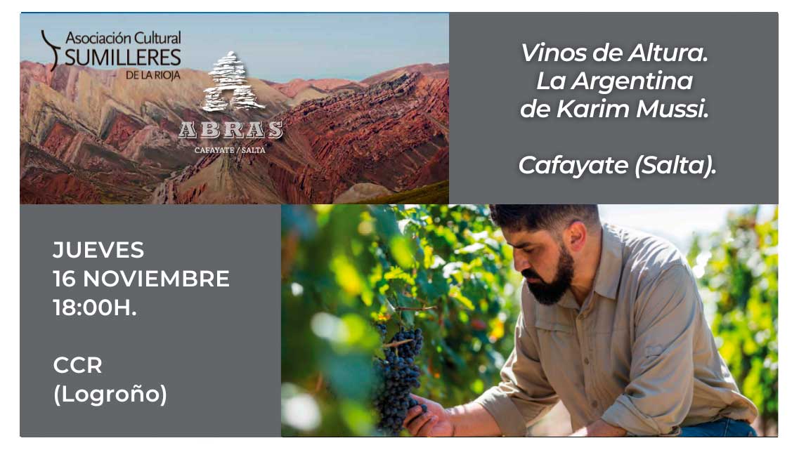 vinos-de-altura-la-argentina-de-karim-mussi