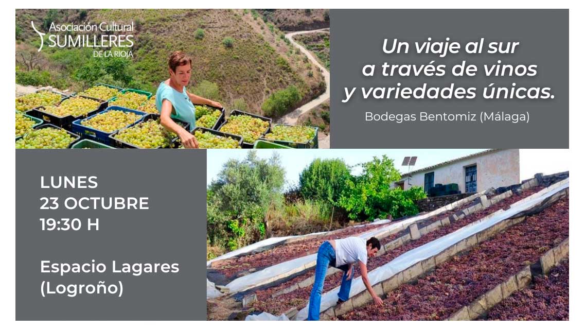 un-viaje-al-sur-a-traves-de-vinos-y-variedades-unicas