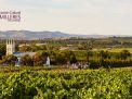 TORBRECK,  UN ICONO DEL VALLE DE BAROSSA, AUSTRALIA.