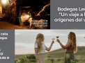 BODEGAS LECEA, UN VIAJE A LOS ORÍGENES DEL VINO